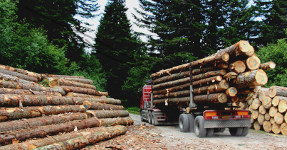 Naviforest : plateforme collaborative pour le transport du bois
